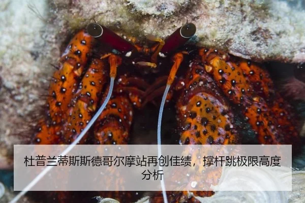 杜普兰蒂斯斯德哥尔摩站再创佳绩，撑杆跳极限高度分析